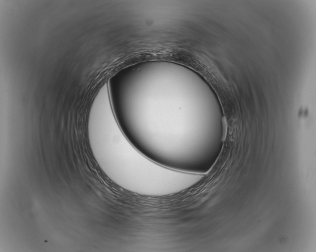 X0000090861298200707270925