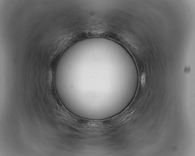 X0000090861299200707270925