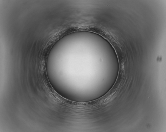 X0000090861300200707270925