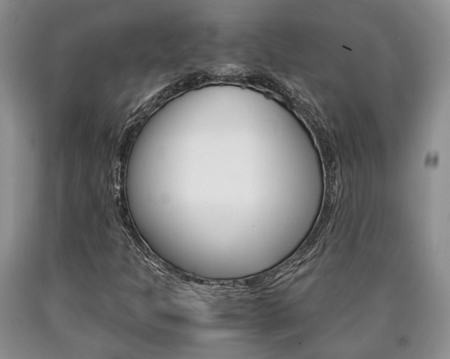 X0000090861301200707270925