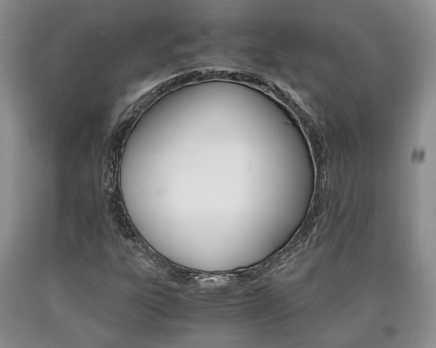 X0000090861303200707270925