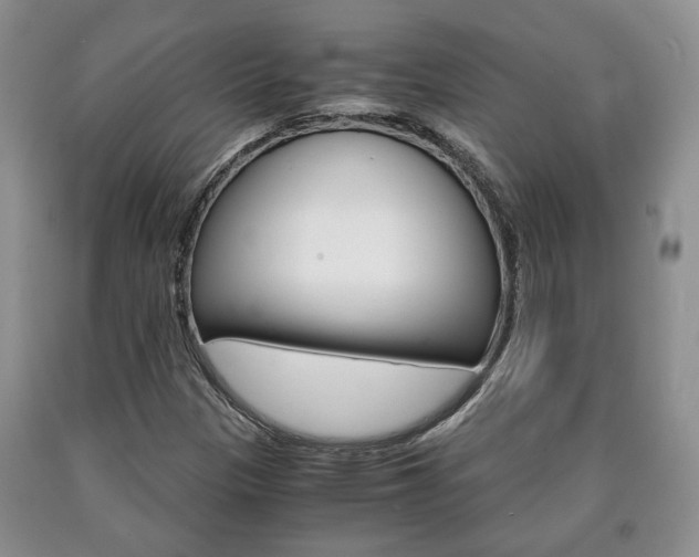 X0000090861305200707270925