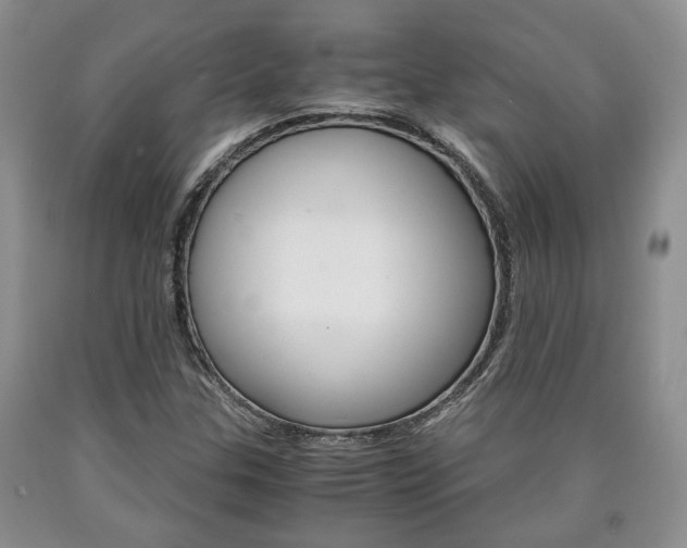 X0000090861307200707270925