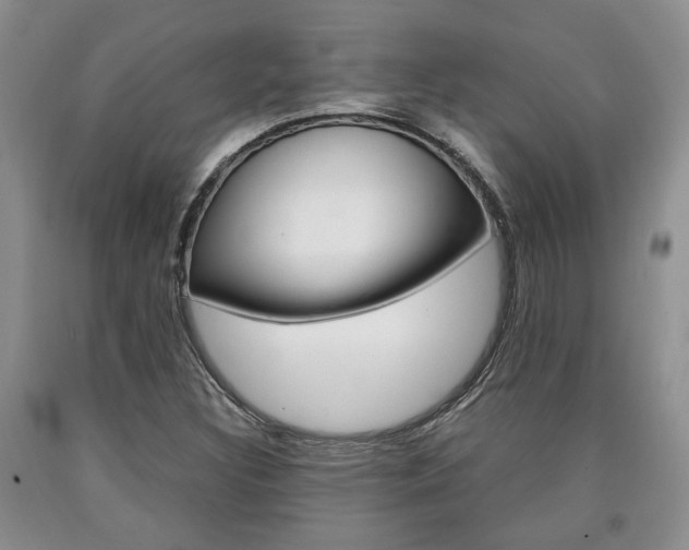 X0000090861308200707270925