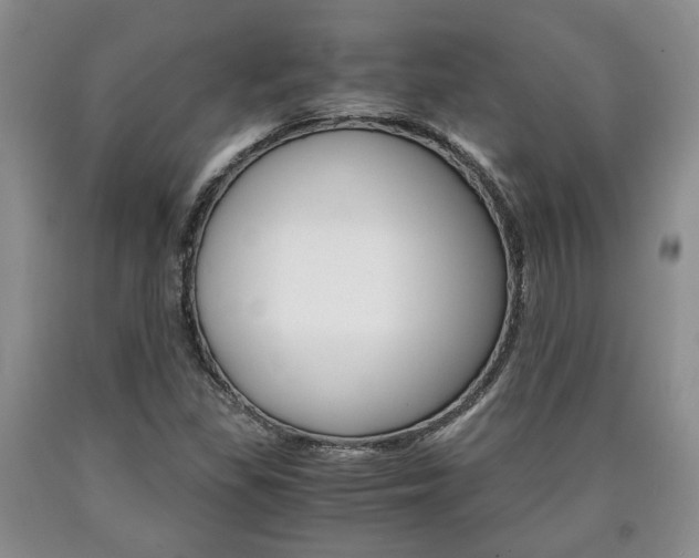 X0000090861309200707270925