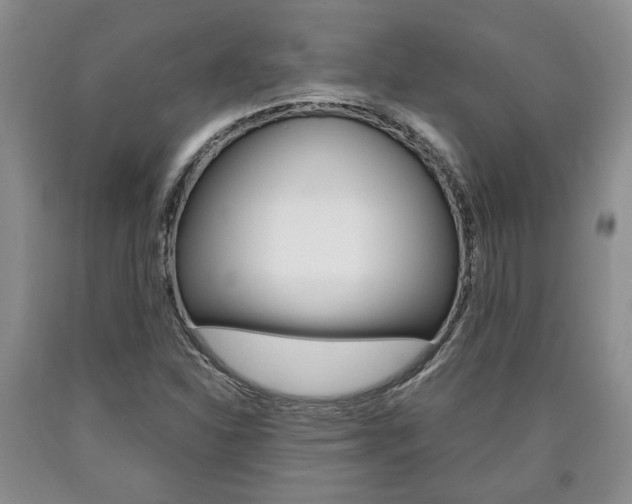 X0000090861310200707270925