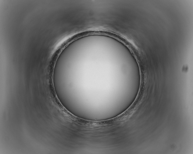 X0000090861311200707270925
