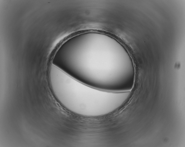 X0000090861312200707270925