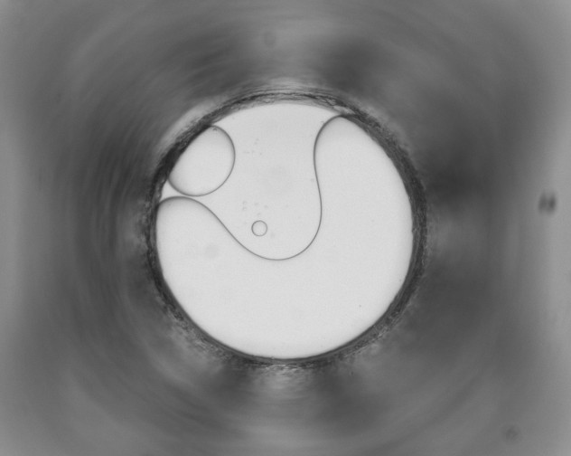X0000090861314200707270925