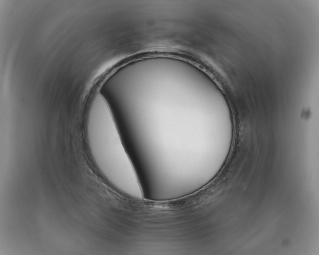 X0000090861315200707270925