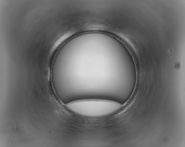 X0000090861317200707270925