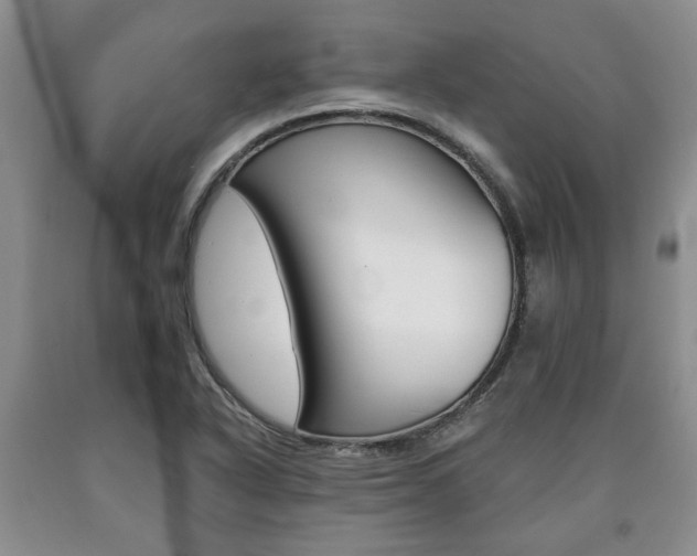 X0000090861318200707270925