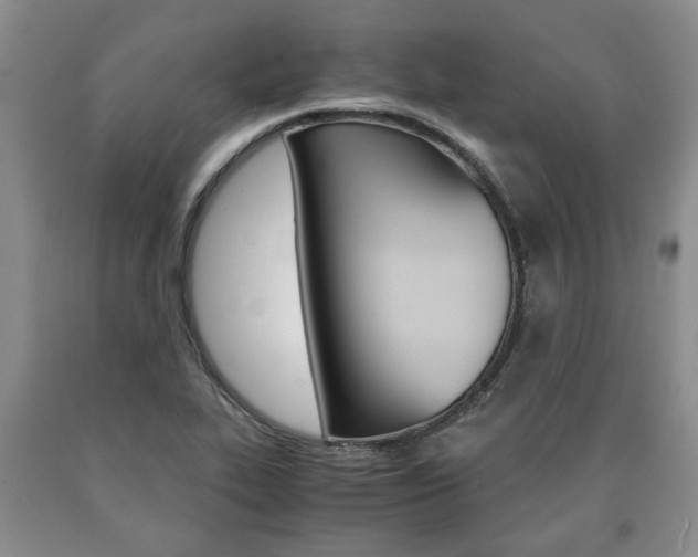 X0000090861319200707270925