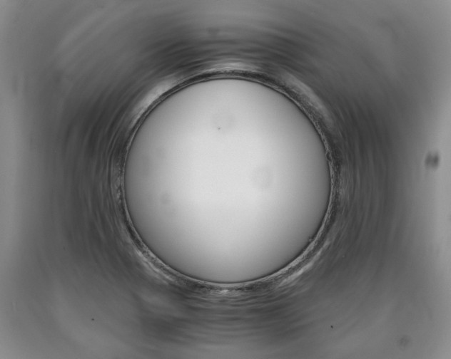 X0000090861321200707270925