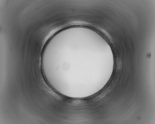 X0000090861322200707270926