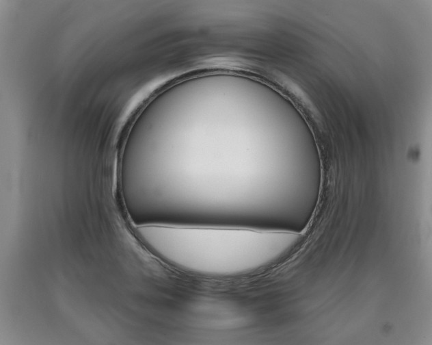 X0000090861323200707270926