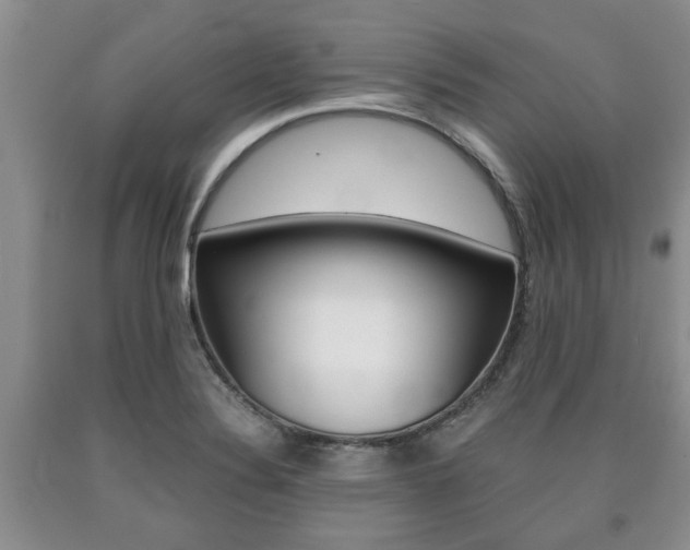 X0000090861324200707270926