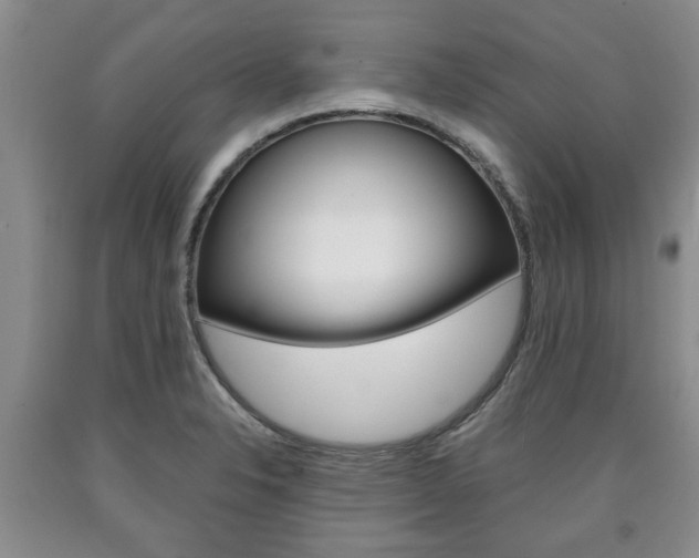 X0000090861326200707270926