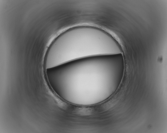 X0000090861327200707270926