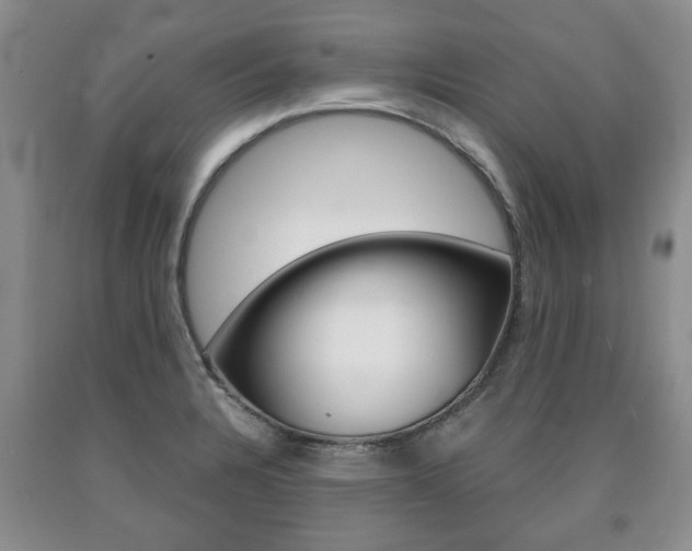 X0000090861328200707270926