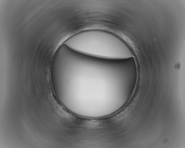 X0000090861329200707270926