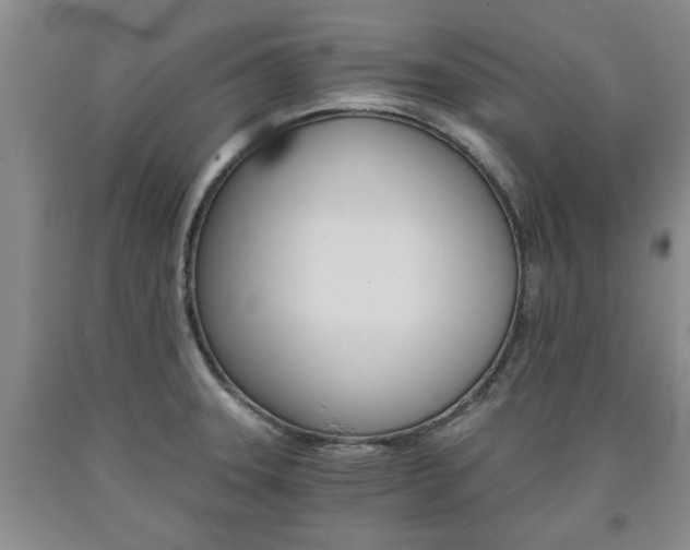 X0000090861331200707270926