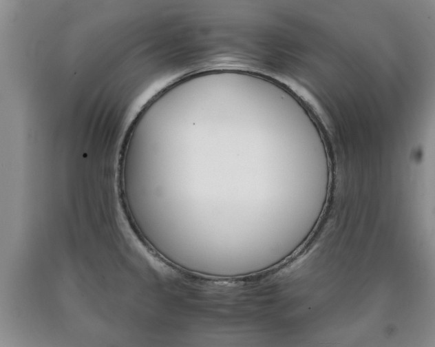 X0000090861333200707270926