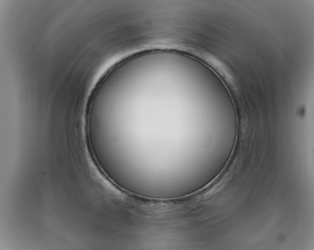 X0000090861334200707270926