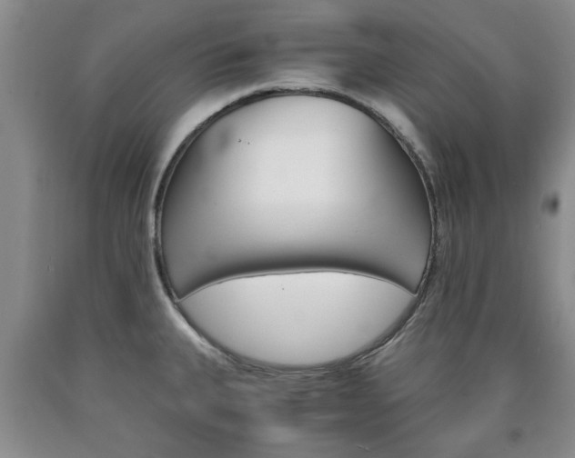 X0000090861335200707270926