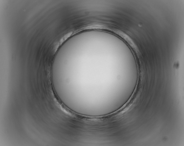 X0000090861337200707270926