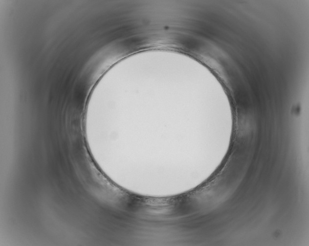 X0000090861338200707270926
