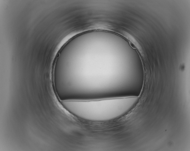 X0000090861339200707270926