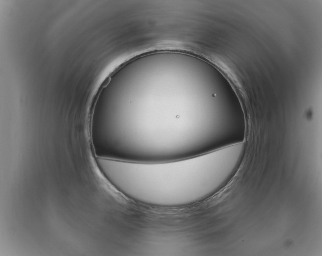 X0000090861342200707270926