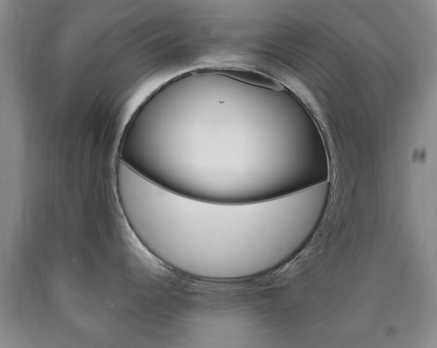 X0000090861344200707270926