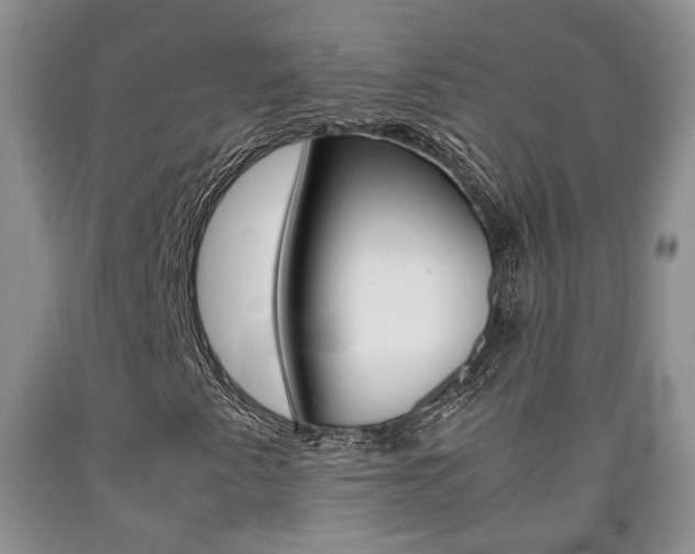 X0000090861345200707270925
