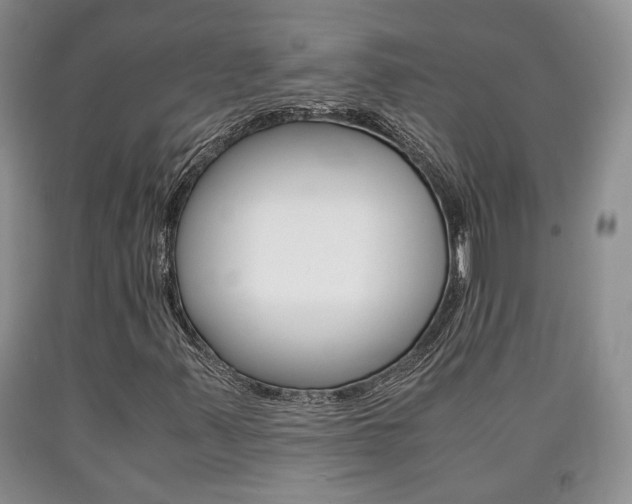 X0000090861347200707270925