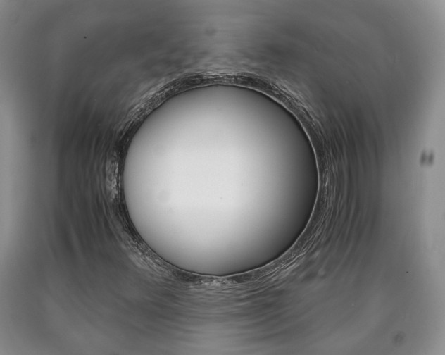 X0000090861348200707270925