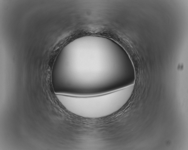X0000090861349200707270925