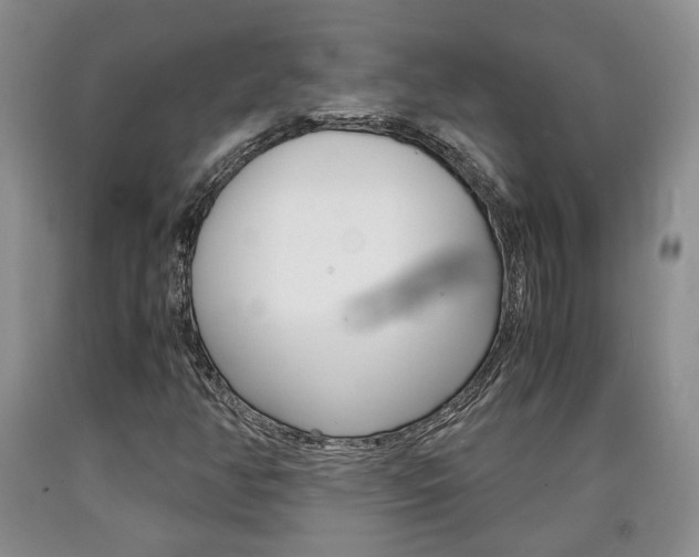 X0000090861350200707270925
