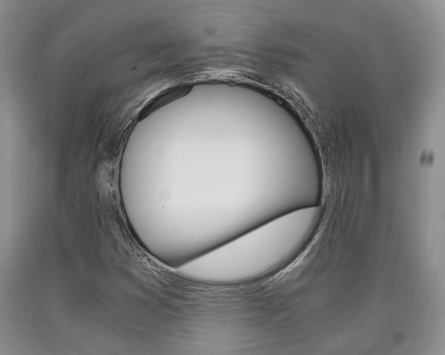X0000090861353200707270925