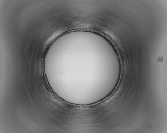 X0000090861354200707270925