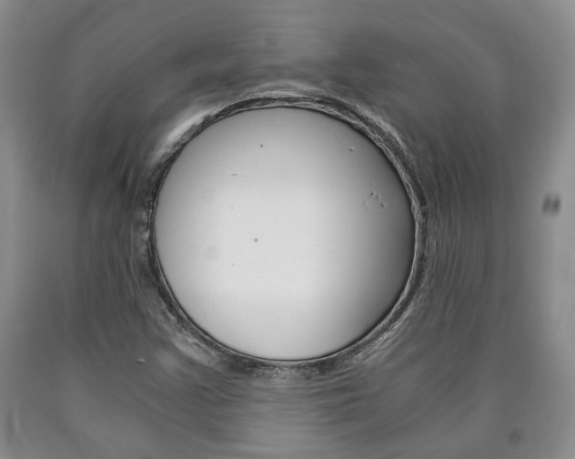 X0000090861355200707270925