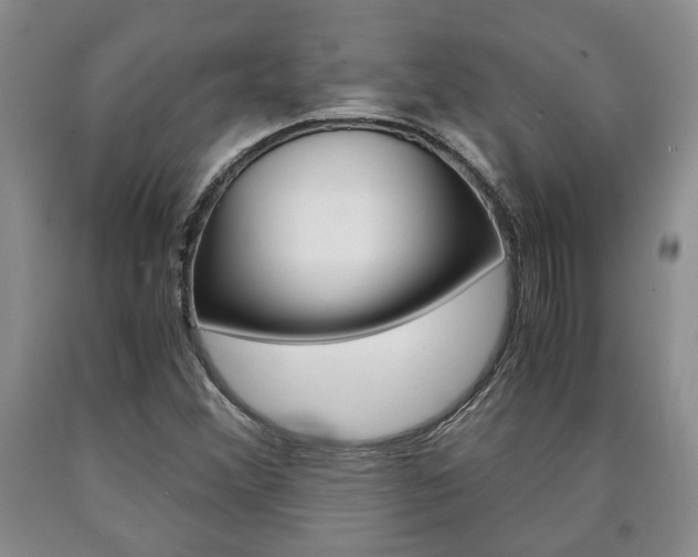 X0000090861356200707270925