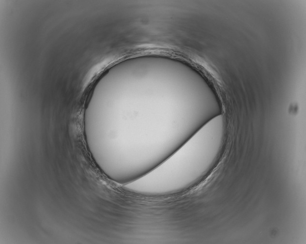 X0000090861357200707270925