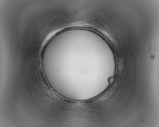 X0000090861358200707270925
