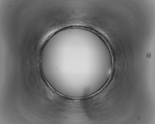 X0000090861359200707270925