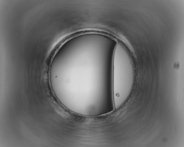 X0000090861360200707270925