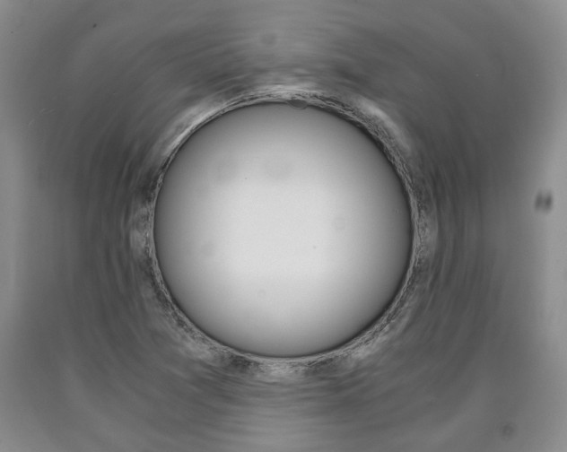 X0000090861361200707270925