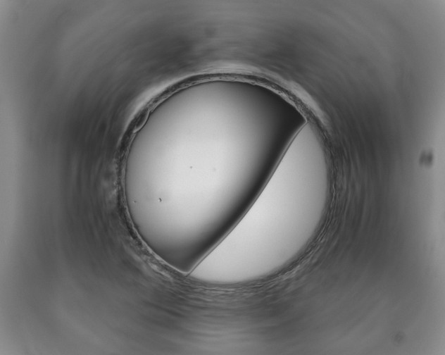 X0000090861364200707270925