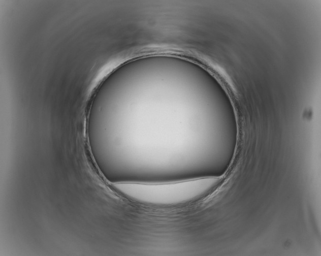 X0000090861365200707270925